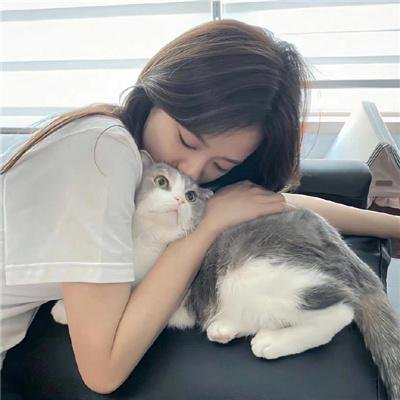 美凤有约
